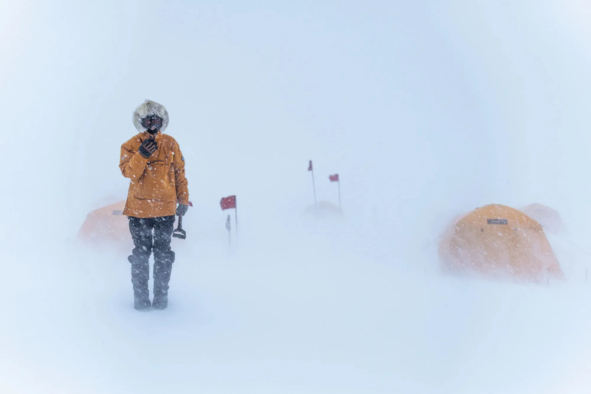 What Greenland's Ancient Past Reveals About Its Fragile Future
